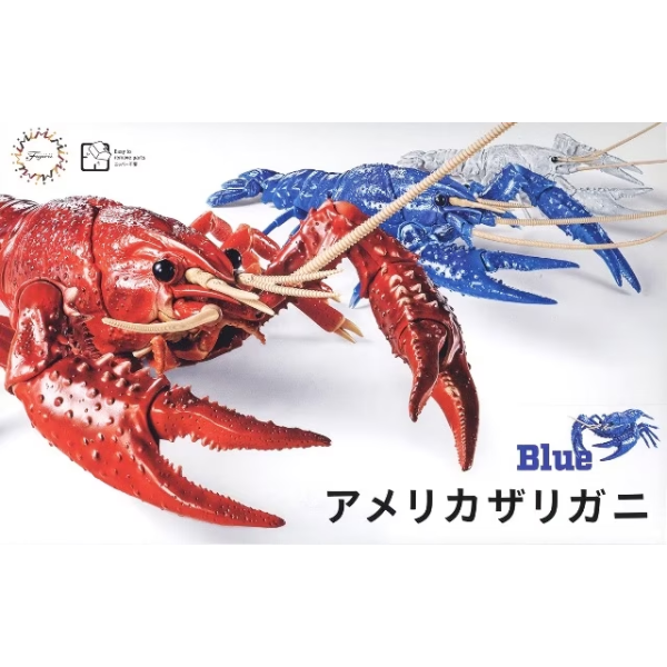 Fujimi 170879 Biology: Crayfish - Procambarus clarkii (Blue)