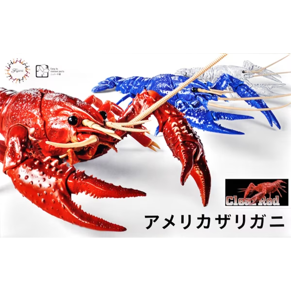 Fujimi 171050 Biology: Crayfish - Procambarus clarkii (Clear Red)