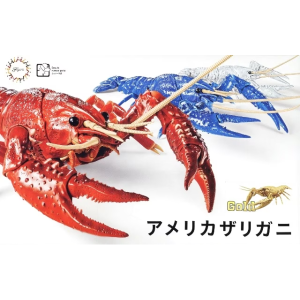 Fujimi 171081 Biology: Crayfish - Procambarus clarkii (Gold)