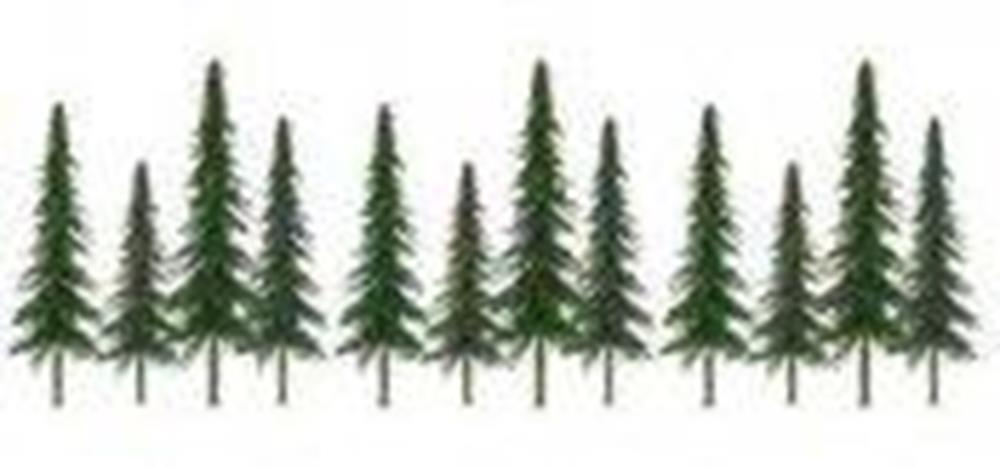 JTT Scenery 92028 150-250mm Spruce (12)