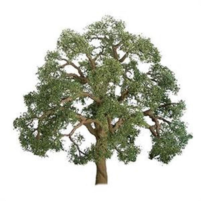 JTT Scenery 92326 75-85mm Live Oak (2)