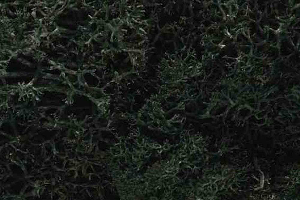 Woodland Scenics L164 LICHEN DARK GREEN