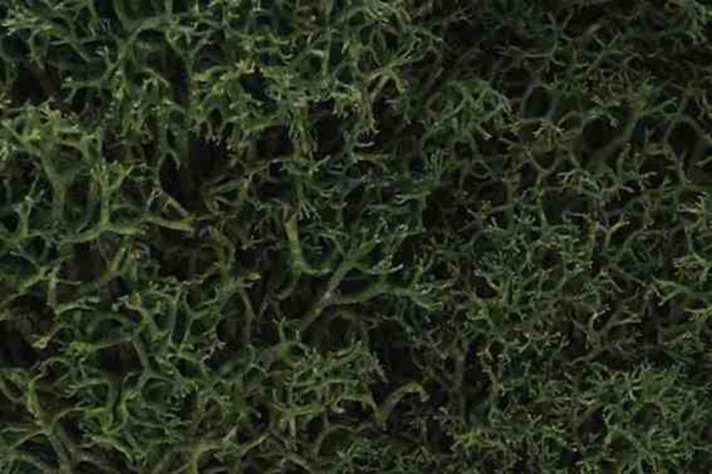 Woodland Scenics L163 LICHEN MEDIUM GREEN