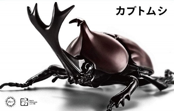 Fujimi 171043 Biology: Rhinoceros Beetle (Clear)