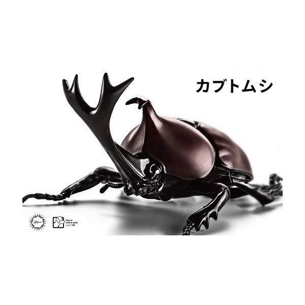 Fujimi 171234 Biology: Beetle