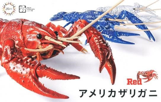 Fujimi 171401 Biology: Crayfish Red