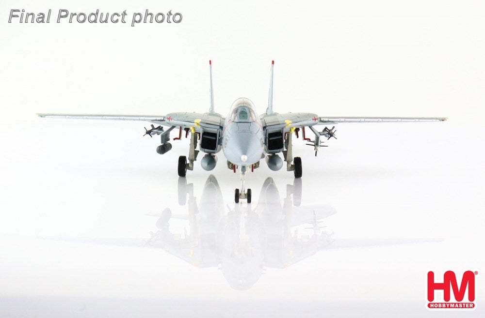 Hobby Master HA5250 1/72 F-14B 'Diamondbacks'