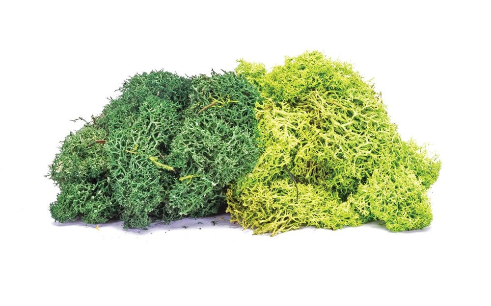 Hornby R7195 Lichen: Large Green Mix