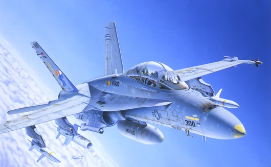 Italeri 016 1/72 F/A-18 Wild Weasel